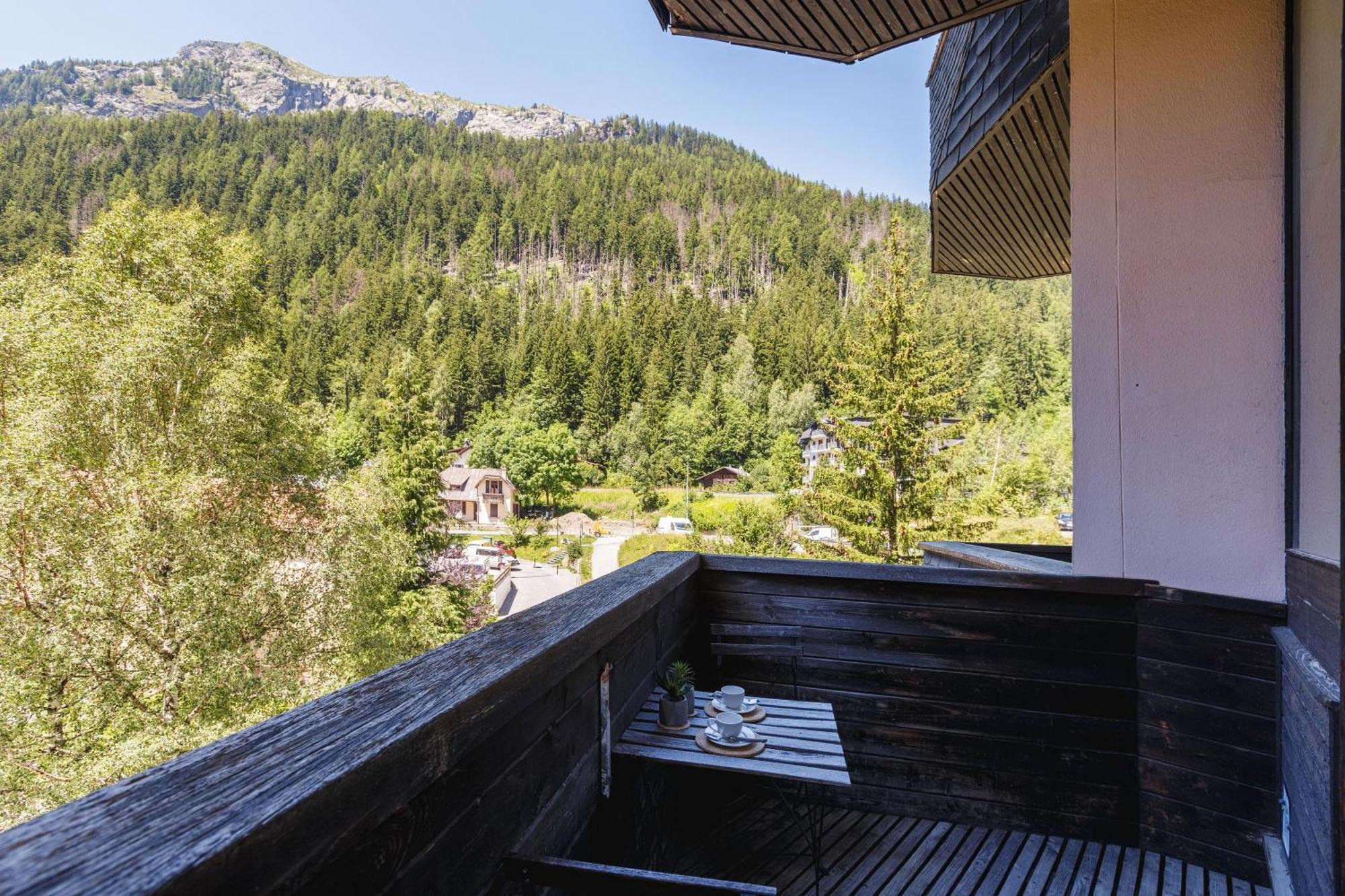 Residence Grand Roc - Campanules 202 - Happy Rentals Chamonix Bagian luar foto
